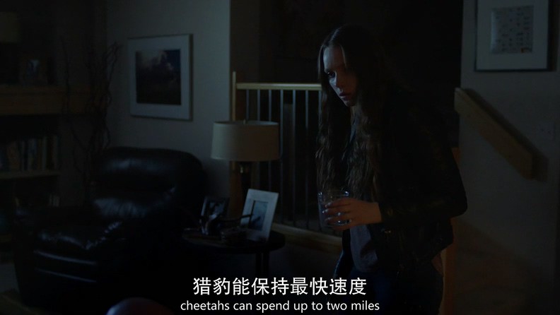 2017悬疑惊悚美剧《零异频道第二季》6集全.HD720P.英语中英双字截图