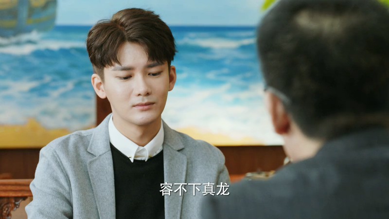 2020国剧《爱情的开关》46集全.HD1080P.国语中字截图