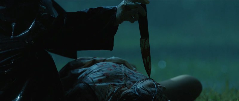 2018犯罪《天罚》HD1080P.国语中字截图