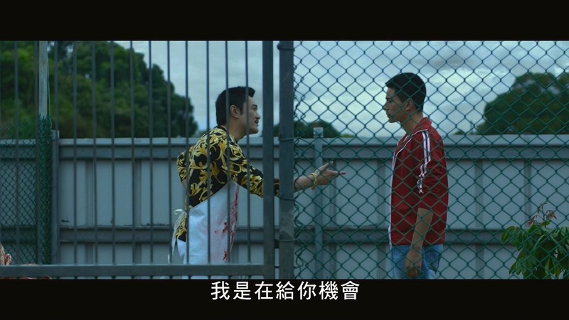 斗鱼剧照