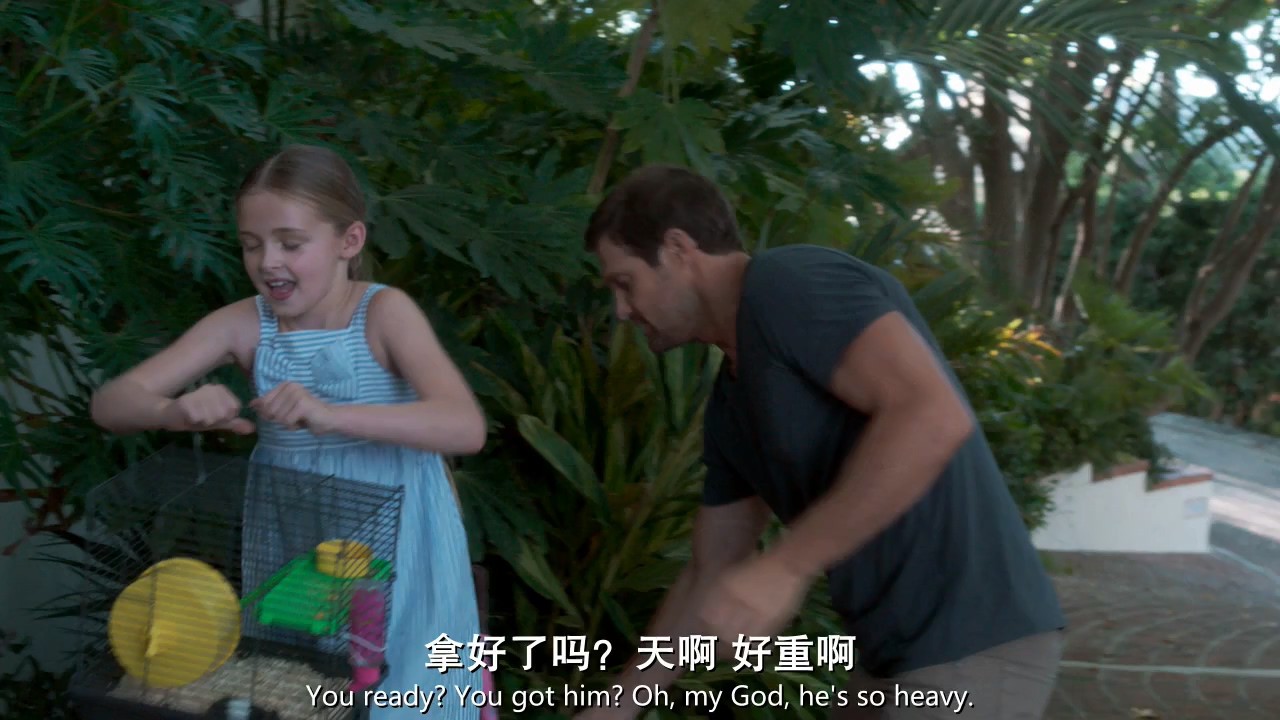 《难以忘怀》2017剧情惊悚.BD720P.中英双字截图