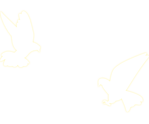 福建高速养护网 -  千亿（中国）体育登录入口