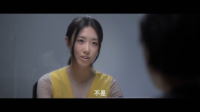 2021国剧《谎言真探》16集全.HD1080P.国语中字截图