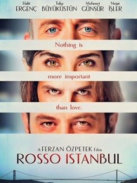 伊斯坦布尔红封面图