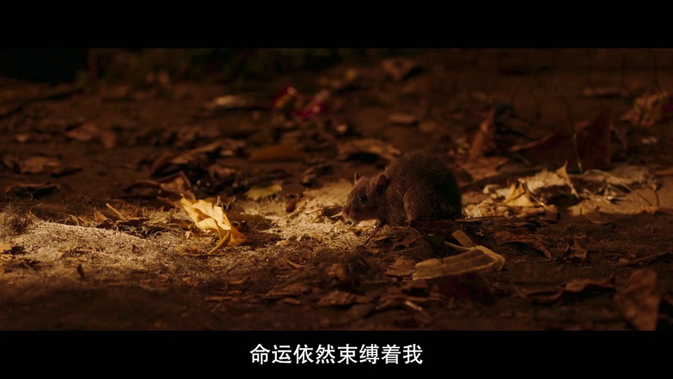 2023惊悚犯罪《怒斩狂飙》HD1080P.越南语中字截图