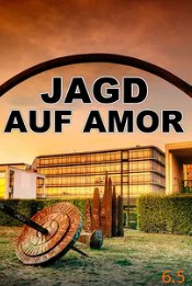 寻找丘比特封面图