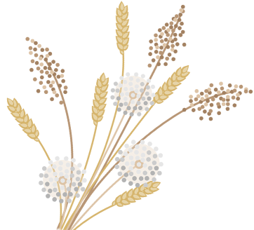 福建高速养护网 -  乐鱼(中国)