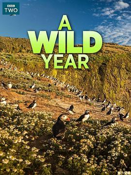 英伦狂野之年封面图