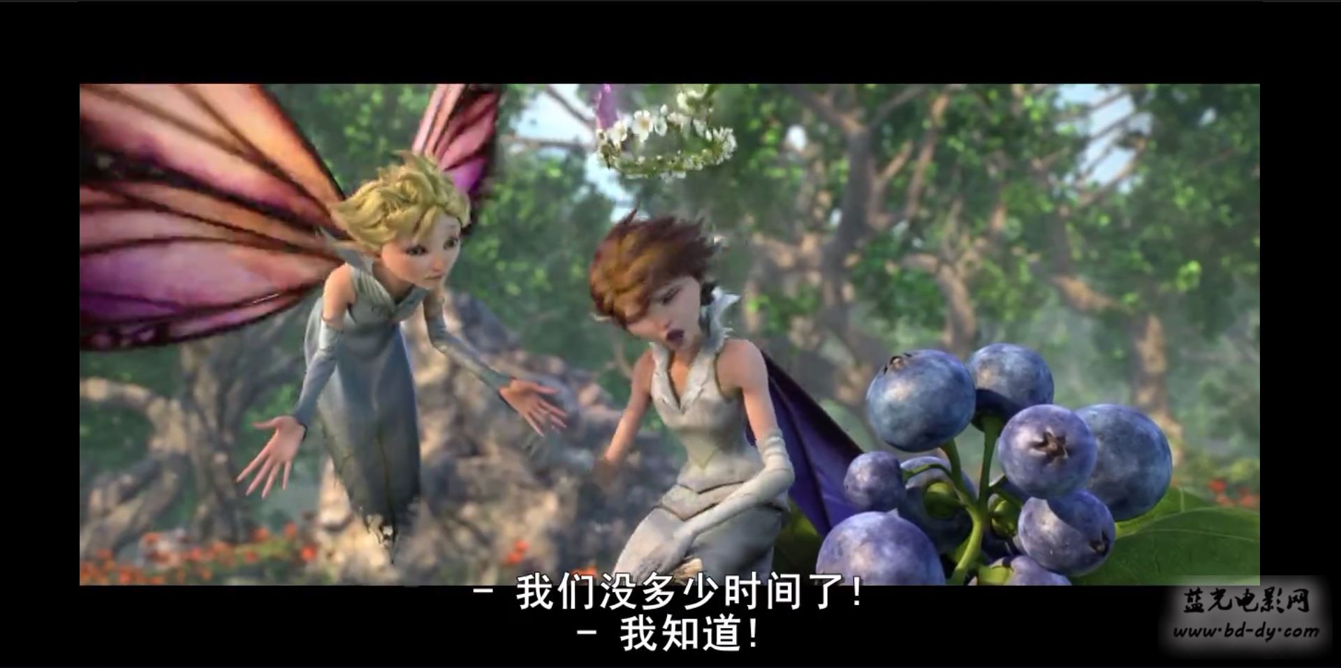 《仲夏夜魔法》2015美国奇幻动画.BD720P.英语中字截图