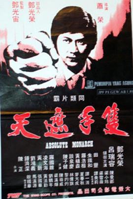 只手遮天1980封面图