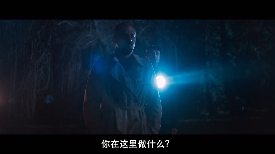 uump4.cc_[W谋杀案][HD-MP4/2.6GB][波兰语中字][1080P]