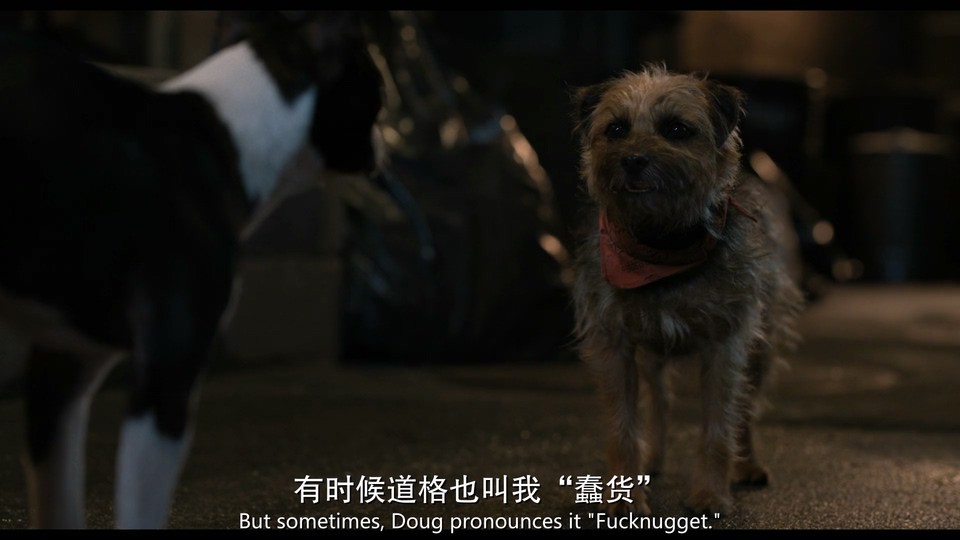 2023动画冒险《流浪狗》HD1080P.英语中英双字截图