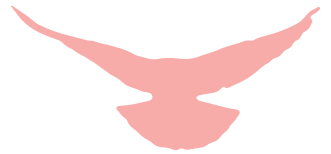 福建高速养护网 -  米兰（中国）