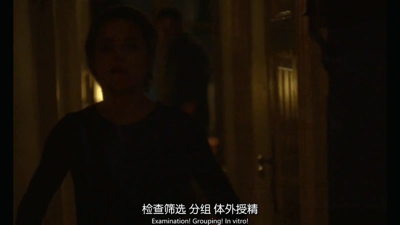 2018同性爱情《妮娜》HD1080P.波兰语中字截图