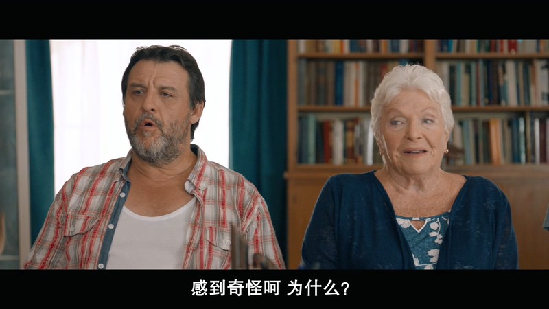 2018法国喜剧《欢迎来北方II》BD720P&BD1080P.法语中字截图
