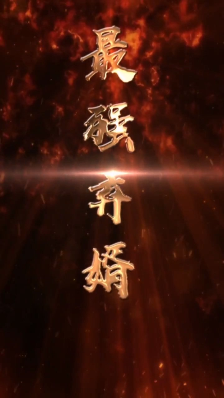 最强废婿封面图