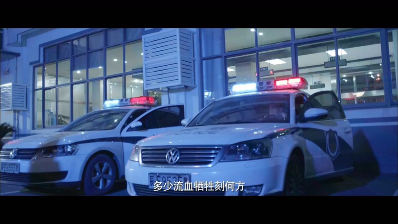 2019剧情《爱无痕》HD1080P.国语中字截图