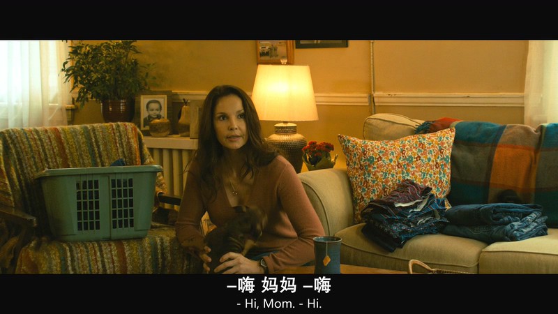 [BD-MP4]一条狗的回家路 / 贝拉400哩的约定(港) / 为了与你相聚(台) / A Dog's Way Home (2019)截图