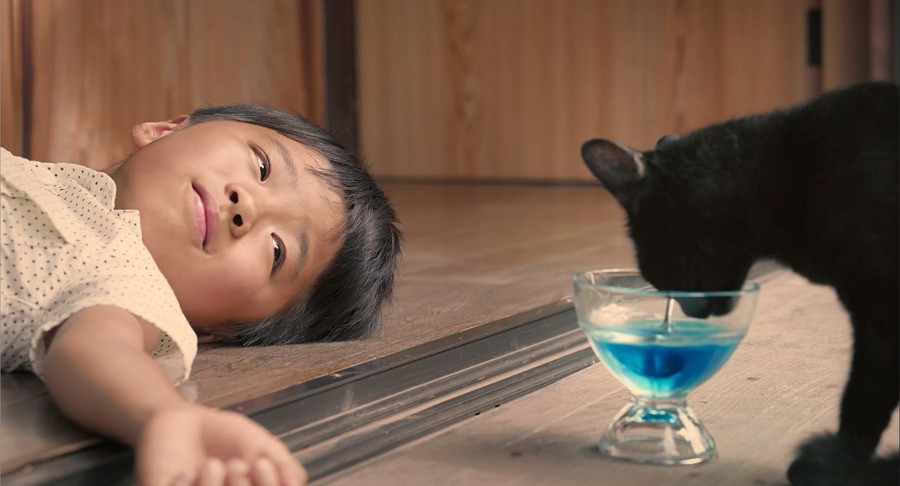 《猫咪后院之家》2017日本剧情.BD1080P.日语中字截图