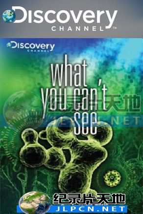 肉眼不见的世界封面图