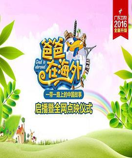 爸爸在海外封面图