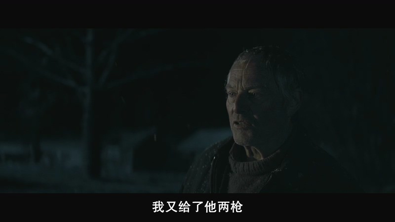 2019悬疑剧情《外出偷马》BD1080P.挪威语中字截图