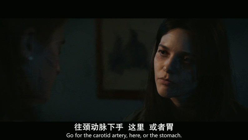 2019美国惊悚《痊愈/索命》HD720P&HD1080P.英语中英双字截图