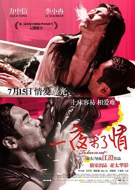 一夜未了情2011封面图