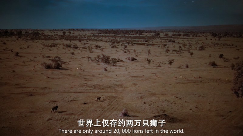 2020美剧《夜色中的地球》6集全.HD1080P.英语中英双字截图