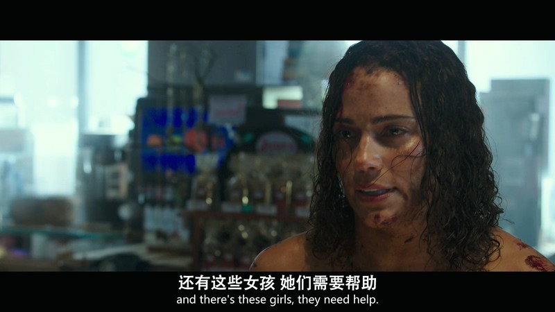 2018美国惊悚《假期惊魂》BD720P&BD1080P.英语中英双字截图