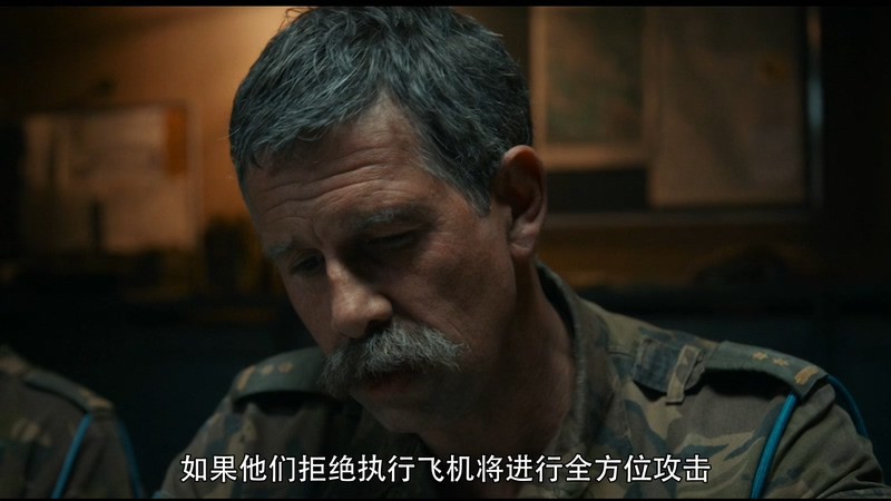 2020历史战争《艾达，怎么了？》HD720P&HD1080P.多国语言中字截图