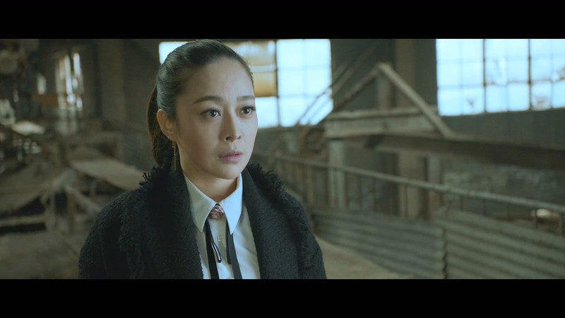 2019动作喜剧《娱乐追击》HD1080P.国语中字截图