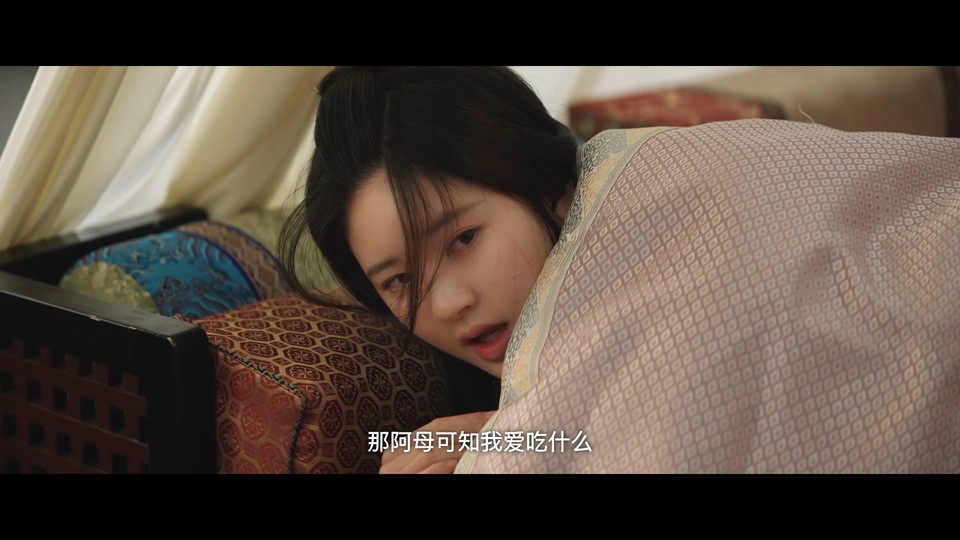 2022国剧《星汉灿烂》56集全.HD1080P&4K.国语中字截图