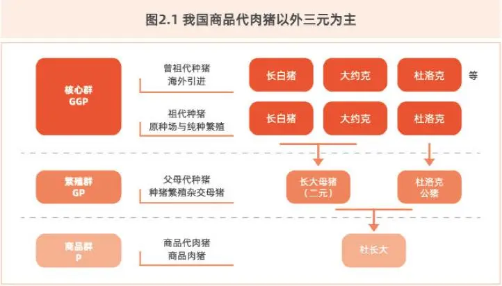 概况.jpg