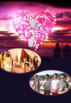 求爱大作战2013封面图