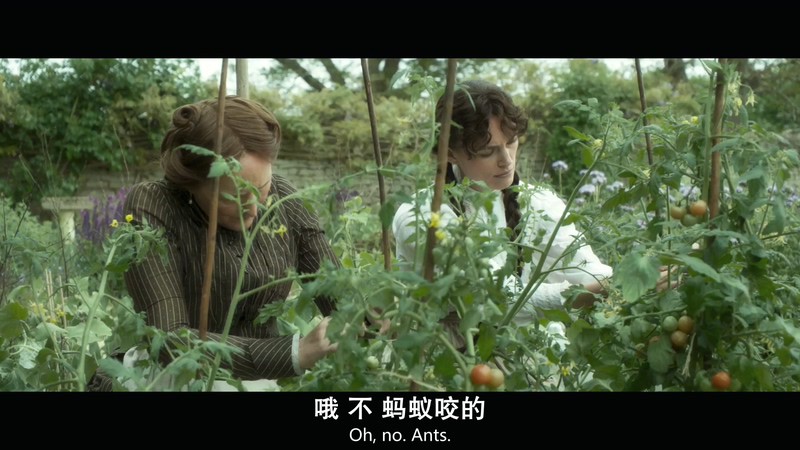 2018高分传记《柯莱特》HD1080P&HD720P.英语中英双字截图