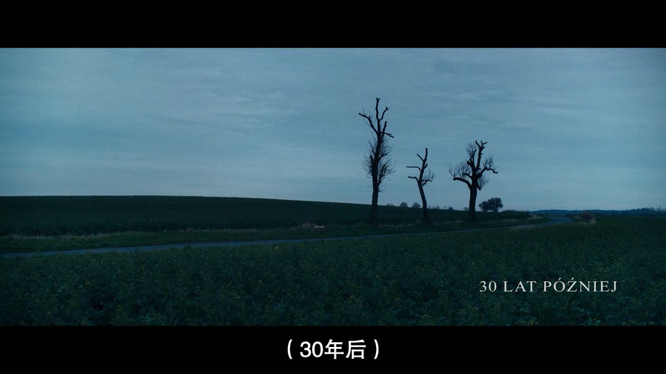 2022波兰恐怖《地狱之渊》HD1080P.波兰语中字截图