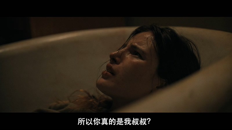 2020美国惊悚《复仇女孩》HD720P&HD1080P.英语中字截图