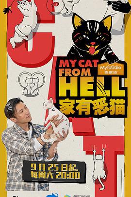 家有恶猫封面图