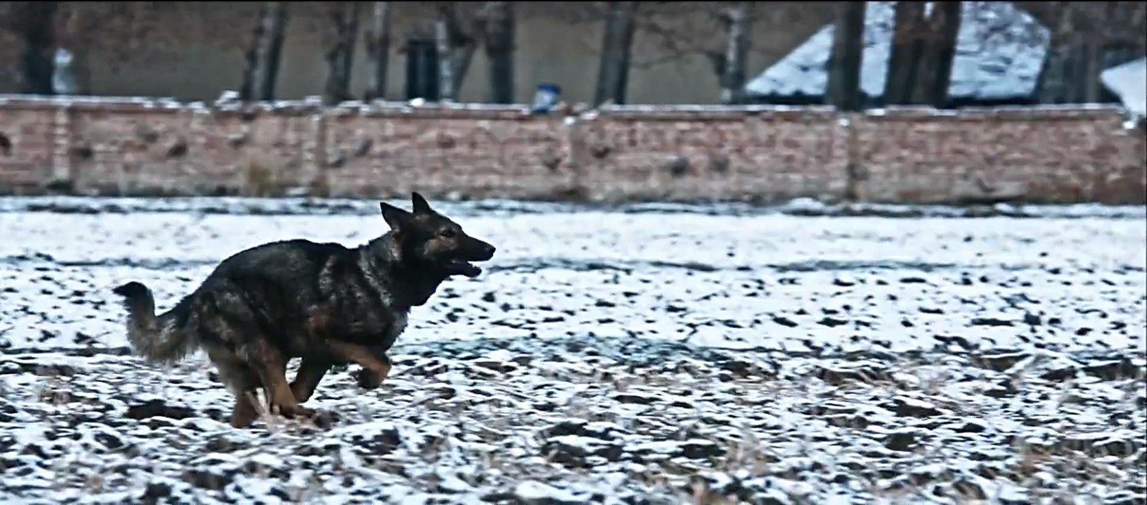 《血狼犬》2017动作冒险.HD1080P.国语中字截图;jsessionid=BZ3YqqgrBju0MO2Tk_ZqNEuKpkxLEzF1NoxgzFg3