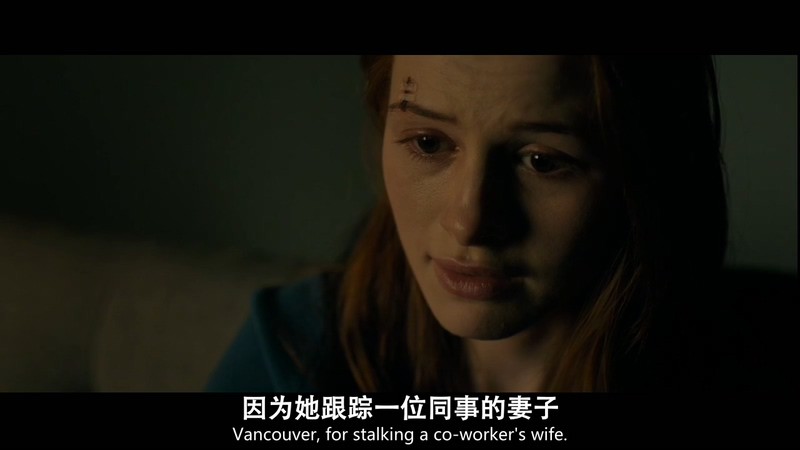 2020美国惊悚《迷盲》HD720P&HD1080P.英语中英双字截图