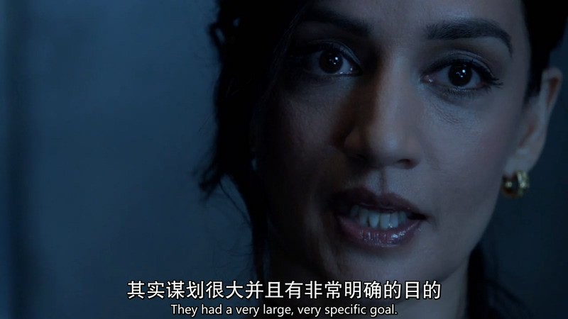 2016犯罪美剧《盲点第二季》23集全.HD720P.英语中英双字截图