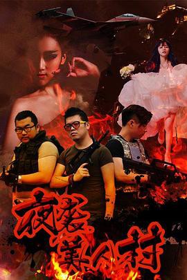 夜袭寡妇村封面图