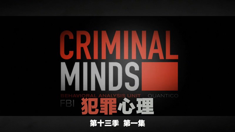 2017惊悚犯罪《犯罪心理第十三季》22集全.HD1080P.英语中英双字截图