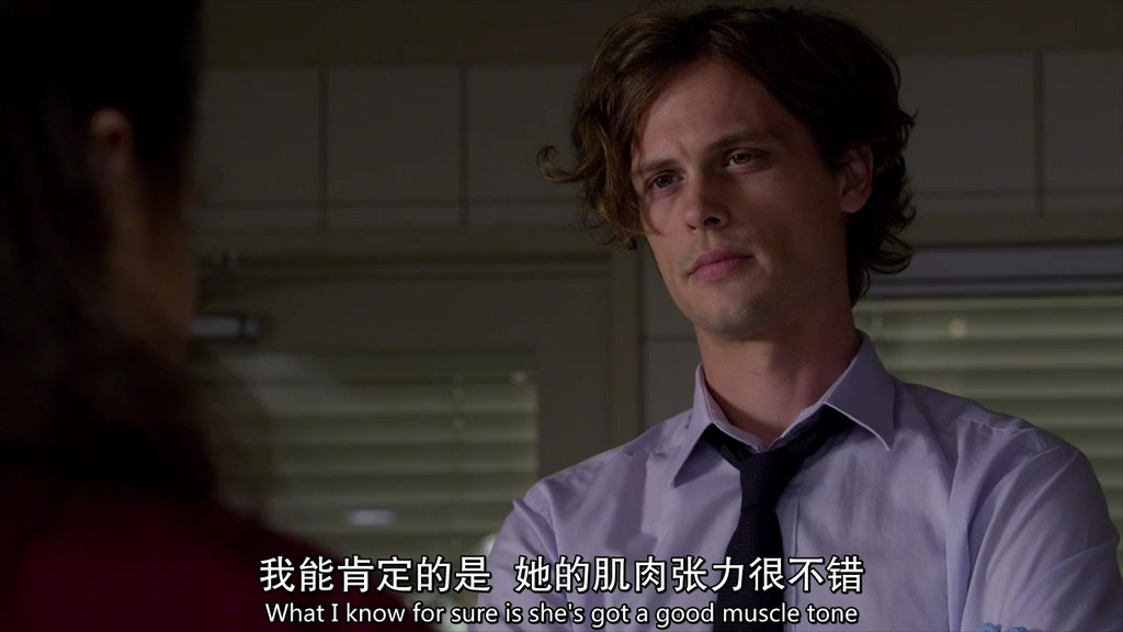 2014犯罪悬疑《犯罪心理第十季》23集全.HD1080P.英语中英双字截图