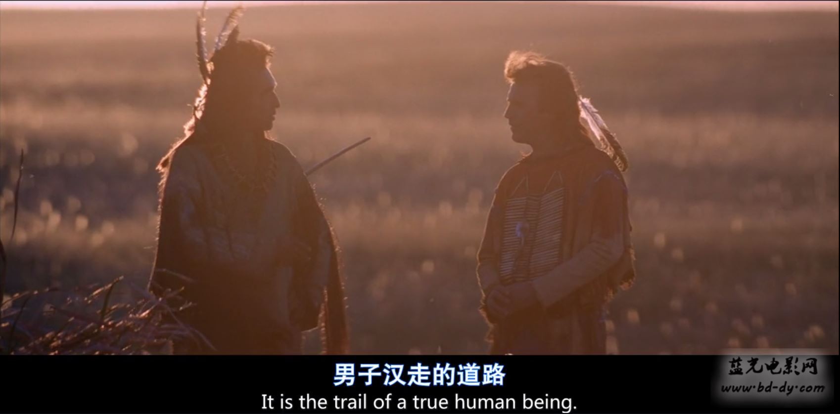 《与狼共舞》1990高分西部冒险.导演剪辑版.BD720P.国英双语.高清中英双字截图