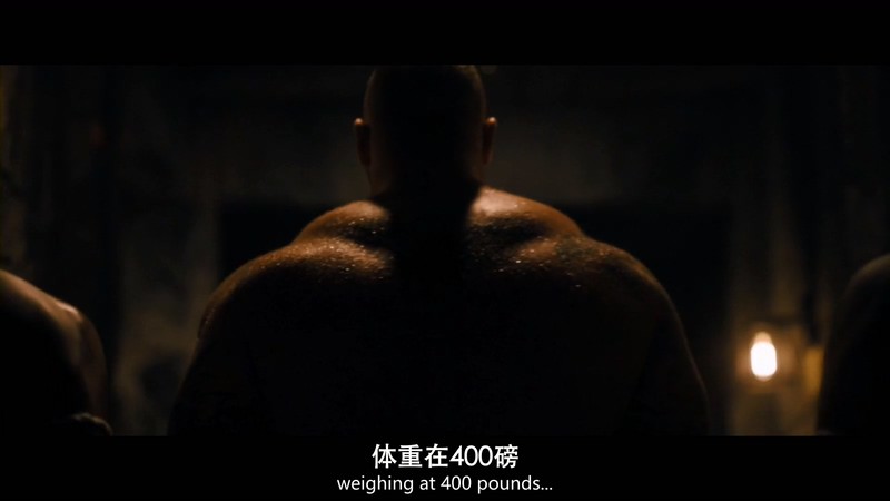 2018动作《搏击之王：反击》HD1080P.英语中英双字截图