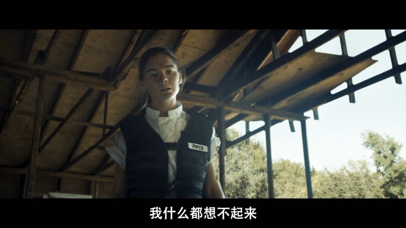 2020科幻动作《机器人暴动》HD720P&HD1080P.英语中字截图