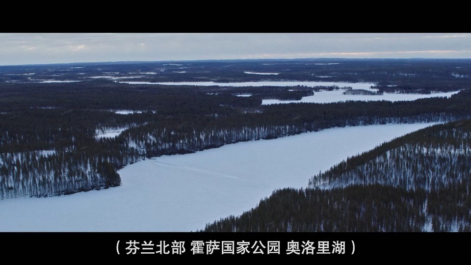 2022纪录短片《屏住呼吸：挑战冰潜纪录》HD1080P.英语中字截图;jsessionid=XByMmC2CDUnV4mvEfwis2s-4729lqDemelw-YLh0