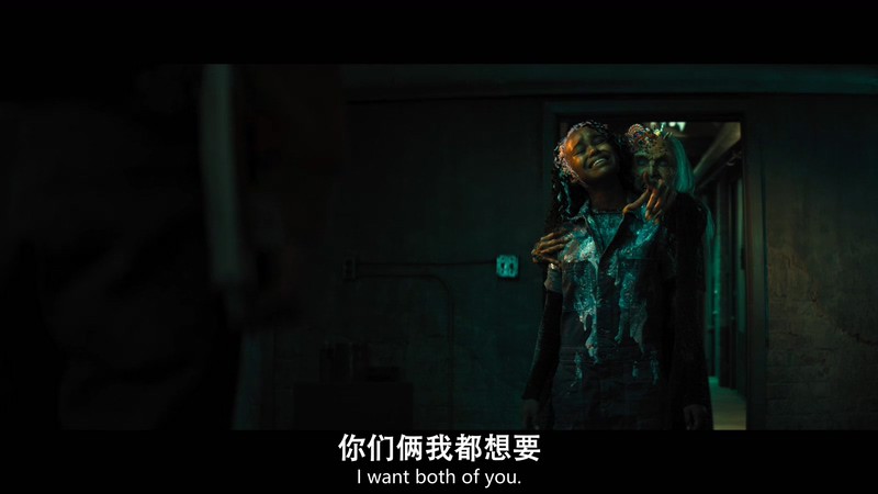 2021美国剧情《夜读惊魂》HD720P&HD1080P.英语中英双字截图